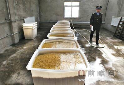 药泡豆芽