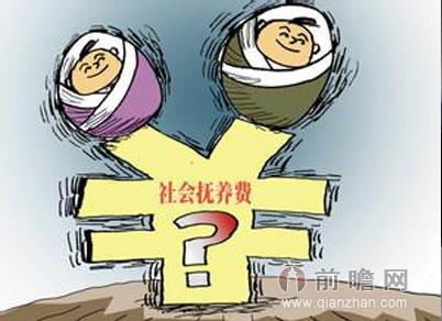 社会抚养费