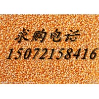 旺川求购：玉米、碎米、高粱、棉粕