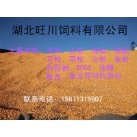 旺川求购玉米荞麦大豆棉粕
