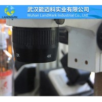 3-苯丙酸CAS号：501-52-0