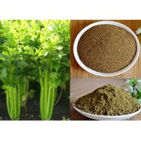 芹菜籽提取物10:1 芹菜籽粉 一公斤起订 现货包邮