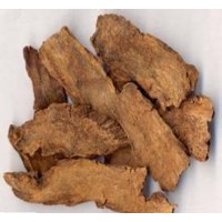 松果菊苷20% 肉苁蓉提取物  松果菊甙 多规格供应
