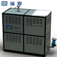 【江苏瑞源】厂家供应100KW电加热导热油炉