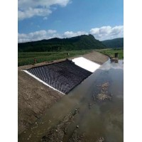 伸缩自如河道护坡护岸蜂巢约束系统河道边坡加固蜂巢土工格室