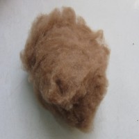 厂家自产自销驼绒 高端被服填充物 细驼绒 底价厂家直销驼绒