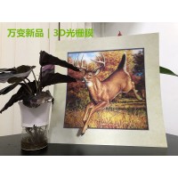 3D变幻卡、3D光栅立体画、裸眼3D光栅膜、厂家直销可定制