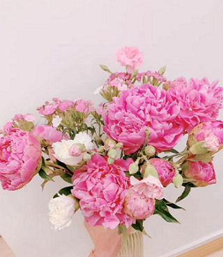 【FlowerPlus】四月：芍药开，待你归B200k