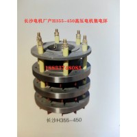 长沙电机厂产新型H500-630高压电机集电环 厂家直销
