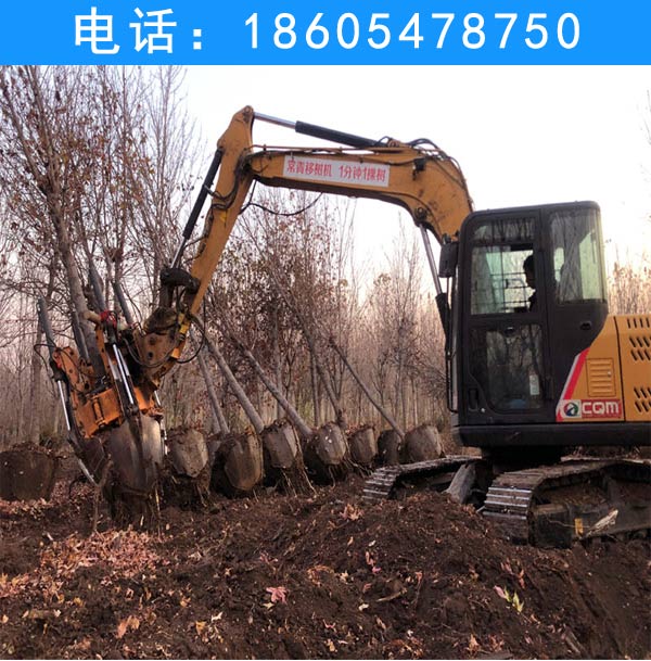 挖树机