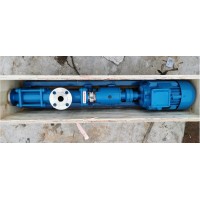 出售油泥泵和泵转子HDN035S2