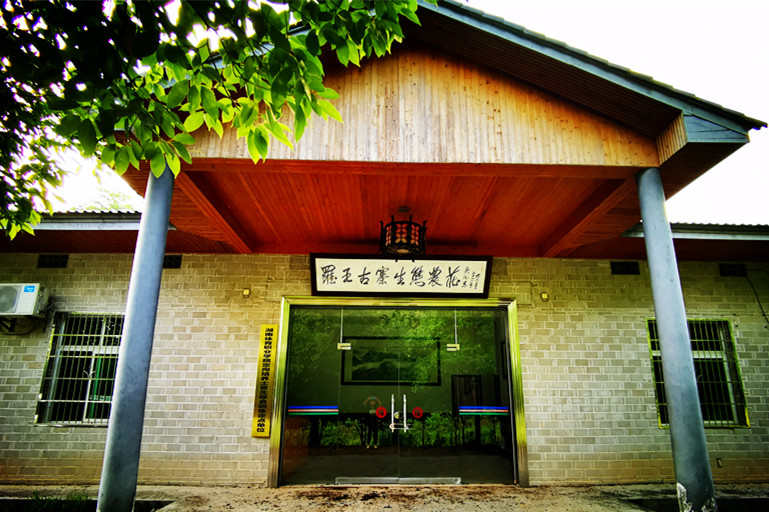 微信图片_20200607170653_副本