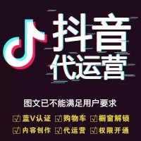 广东搜素引擎竞价广告推广代运营