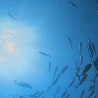 沈阳纪录片沈阳满川艺术设计