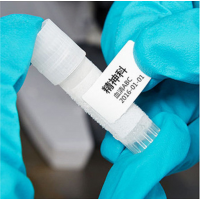 贝迪实验室耐低温冷冻液氮标签THT-163-499-3