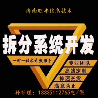 山东拆分系统开发 投资返利分红模式开发