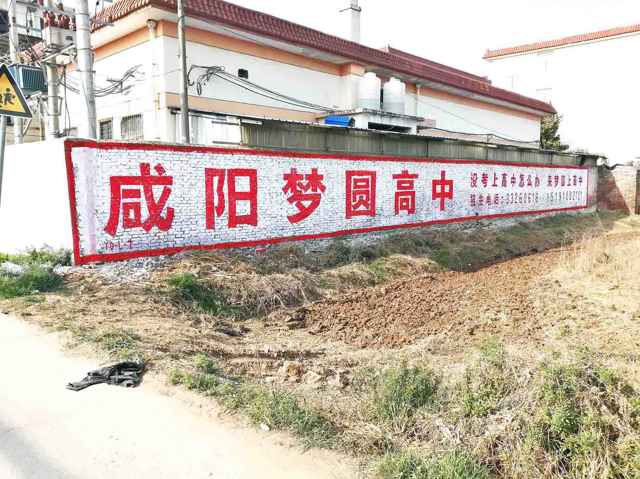 陕西汉中墙体广告