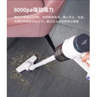 苏州宝家丽跨境热销无线手持大吸力低噪吸狗毛吸尘器BW520