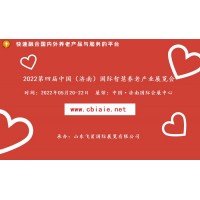 2022中国国际智慧养老产业展，智能家居产品展，养老展